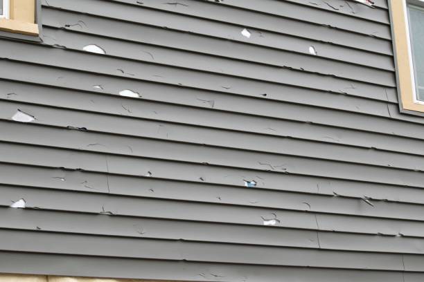 Best Historical Building Siding Restoration  in Salisbury, MO